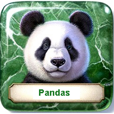 Panda Art